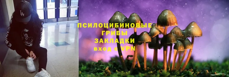 Галлюциногенные грибы Magic Shrooms  где найти наркотики  Киреевск 