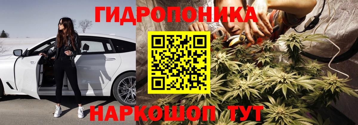 Киреевск  МАРИХУАНА план  Каннабис гибрид  Бошки марихуана индика  Каннабис гибрид  Вход с VPN 